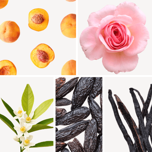 Duftnoten: Pfirsich, Rose, Orangenblüte, Tonkabohne, Vanille